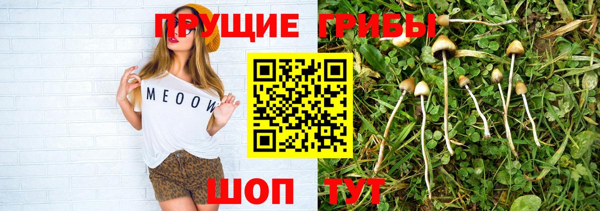 Сургут  Псилоцибиновые грибы MAGIC MUSHROOMS  Вход с VPN  Галлюциногенные грибы ЛСД 
